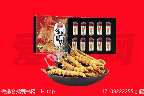 锦州市凌河回收虫草.jpg